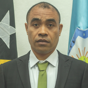 Professor Faustino Soares, M. Hist.