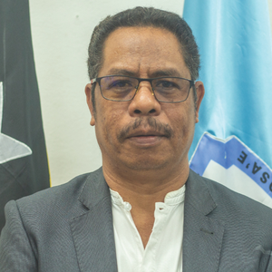 Professor José Nelson Salsinha, Ph.D.